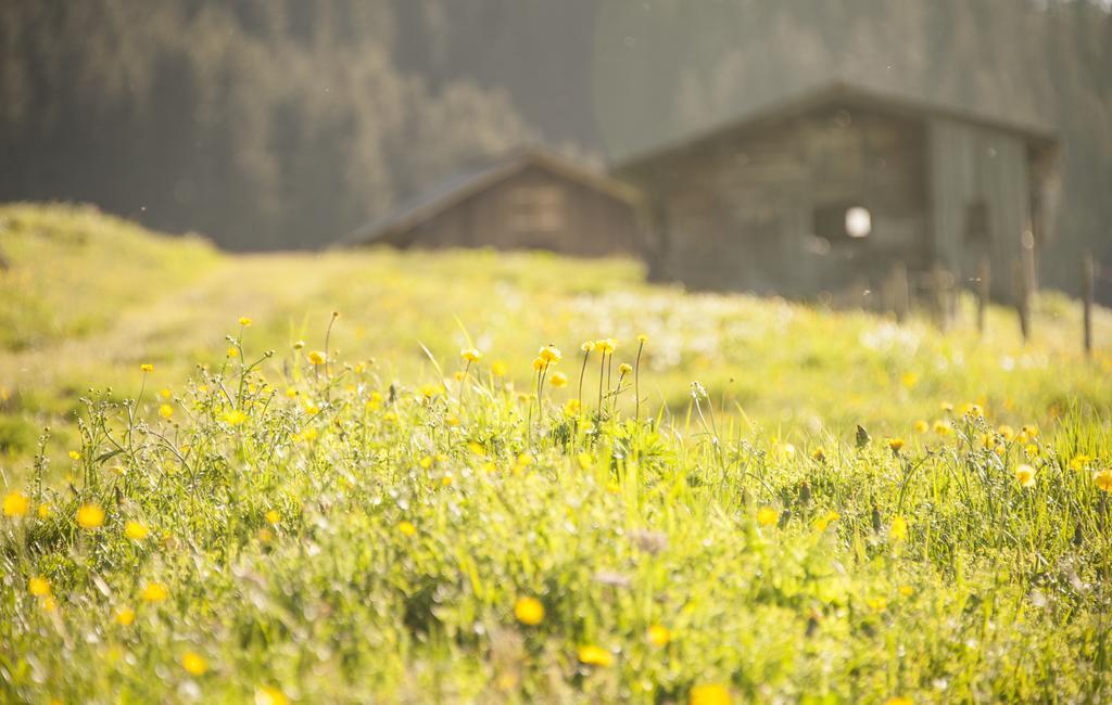 Pension Daniel Lech am Arlberg Luaran gambar